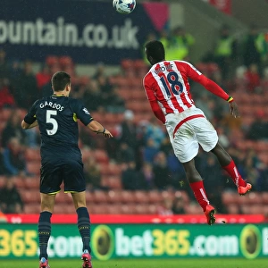 Stoke City vs Southampton Clash: October 29, 2014