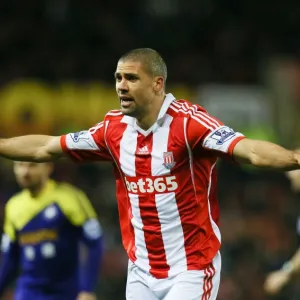 Season 2013-14 Collection: Stoke City v Swansea City