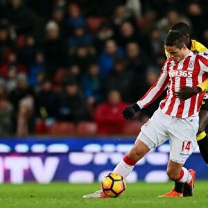 Stoke City's Shawcross and Crouch Secure 2-0 Premier League Victory Over Watford (3rd January 2017)