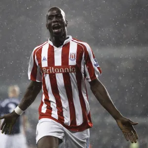 Season 2009-10 Photographic Print Collection: Stoke City v Fulham