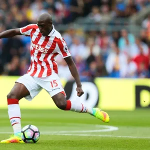 Season 2016-17 Photographic Print Collection: Crystal Palace v Stoke City