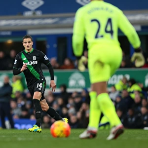 The Turning Point: Everton vs Stoke City (December 28, 2015) - A Moment of Decisive Action