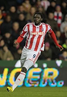 Images Dated 29th December 2012: Battle at the Bet365 Stadium: Stoke City vs Southampton (December 29, 2012)