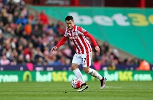 Stoke City v Swansea City Collection: Battle at Bet365 Stadium: Stoke City vs Swansea City - April 2, 2016