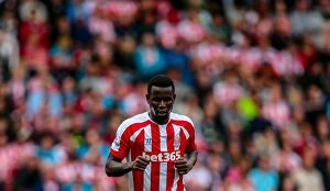 Mame Diouf Collection: Battle at the Bet365: Stoke City vs Aston Villa Clash (16th August 2014)