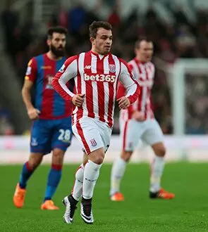 Images Dated 19th December 2015: Battle at the Bet365: Stoke City vs Crystal Palace (12-19-2015)