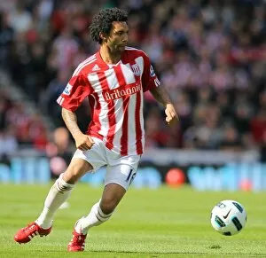 Images Dated 22nd May 2011: Battle for Premier League Survival: Stoke City vs. Wigan Athletic (May 22, 2011)