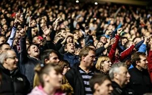 Images Dated 22nd November 2013: Birmingham v Stoke City