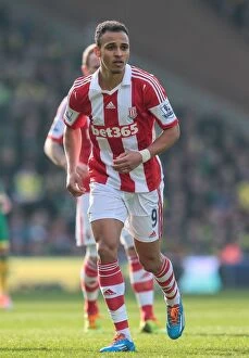 Images Dated 12th March 2014: Championship Showdown: Norwich City vs Stoke City - March 8, 2014
