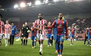 Images Dated 15th January 2013: Clash at the Bet365 Stadium: Stoke City vs Crystal Palace (January 15, 2013)
