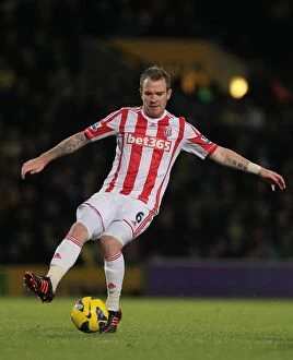 Images Dated 3rd November 2012: Clash of the Championship Contenders: Norwich City vs Stoke City (November 3, 2012)