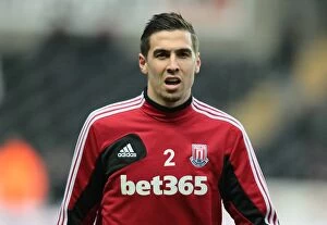 Images Dated 19th January 2013: Clash of the Championship Contenders: Swansea vs Stoke City (19th January 2013)