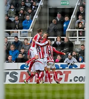 Newcastle Utd v Stoke City Collection: Clash of the Magpies and Potters: Newcastle United vs Stoke City (Februder 8, 2015)
