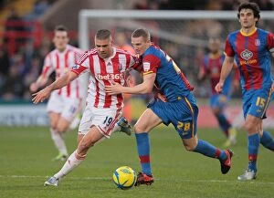 Images Dated 5th January 2013: Clash at Selhurst Park: Crystal Palace vs. Stoke City (5th January 2013)
