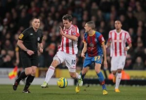 Images Dated 5th January 2013: Clash at Selhurst Park: Crystal Palace vs. Stoke City (5th January 2013)
