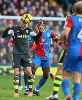 Images Dated 23rd January 2014: Clash at Selhurst Park: Crystal Palace vs. Stoke City - January 18, 2014
