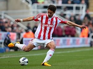 Images Dated 10th March 2013: Clash of the Titans: Newcastle United vs. Stoke City - March 10, 2013