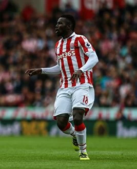 Mame Diouf Collection: Clash of Titans: Stoke City vs Manchester City (2016)