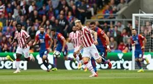 Images Dated 18th September 2016: Crystal Palace v Stoke City