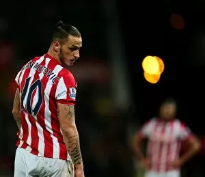 Images Dated 19th December 2015: December Derby: Stoke City vs Crystal Palace at the Bet365 Stadium (19.12.15)