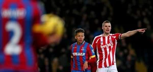 Images Dated 13th December 2014: Decisive Moments: The Turning Point - Crystal Palace vs. Stoke City (13th December 2014)