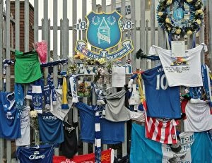 Season 2011-12 Gallery: Everton v Stoke City