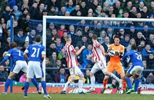 Images Dated 30th March 2013: Everton v Stoke City