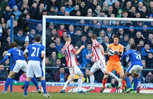 Stoke City Fc 2013 Phil Greig Gallery: Everton v Stoke City