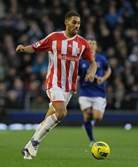 Images Dated 4th December 2011: The Intense Rivalry: Everton vs. Stoke City (December 4, 2011)
