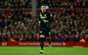 Stokecityfcpicscom Collection: Liverpool v Stoke City