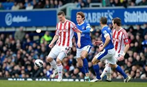Images Dated 30th March 2013: March Madness: Everton vs Stoke City - A Thrilling Clash at Goodison Park (30/03/2013)