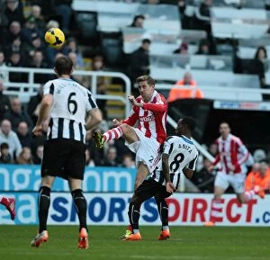 Images Dated 2nd January 2014: Newcastle v Stoke City