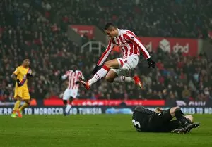 Images Dated 11th February 2017: Premier League Showdown: Stoke City vs Crystal Palace - 11 February 2017 at Bet365 Stadium