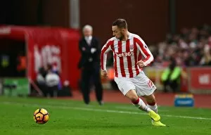 Images Dated 3rd January 2017: Shawcross and Crouch Lead Stoke City to 2-0 Victory Over Watford in Premier League