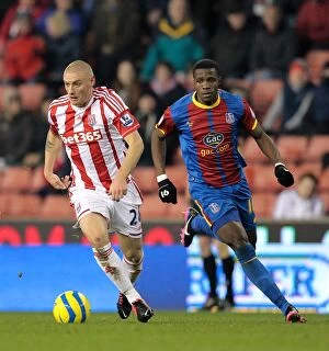 Images Dated 15th January 2013: Showdown at Bet365 Stadium: Stoke City vs Crystal Palace (15.01.2013)
