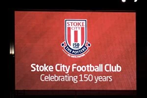 Stoke City v Crystal Palace Collection: Showdown at Bet365 Stadium: Stoke City vs Crystal Palace (15.01.2013)