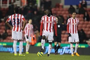 Images Dated 15th January 2013: Showdown at Bet365 Stadium: Stoke City vs Crystal Palace (January 15, 2013)