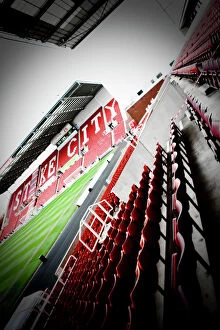 Images Dated 18th April 2009: Stoke City FC: Pride and Passion at Britannia Stadium