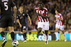 Stoke City FC's Thrilling 2-1 Victory Over Aston Villa in the Premier League (September 13, 2010): Goals from Huth and Jones