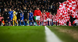 Images Dated 25th March 2015: Stoke City v Everton