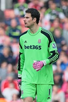 Images Dated 4th April 2014: Stoke City v Hull City