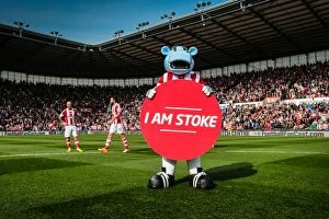 Images Dated 9th April 2014: Stoke City v Hull City