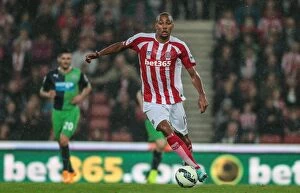 Past Players Gallery: Steven Nzonzi Collection