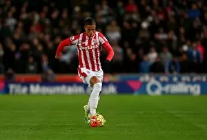 Images Dated 2nd March 2016: Stoke City v Newcastle United