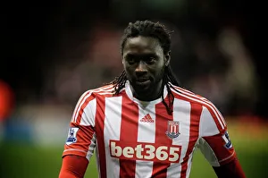 Stokecityfcpicscom Collection: Stoke City v Newcastle United
