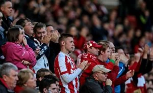 Images Dated 31st October 2014: Stoke City v Swansea City