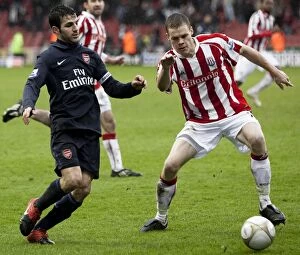 Images Dated 24th January 2010: Stoke City vs Arsenal: Clash at the Britannia (January 24, 2010)