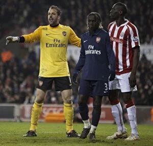 Images Dated 27th February 2010: Stoke City vs Arsenal: Clash at the Britannia - February 27, 2010