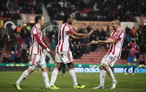 Images Dated 15th January 2013: Stoke City vs Crystal Palace: Clash at the Bet365 Stadium (January 15, 2013)