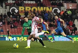 Images Dated 15th January 2013: Stoke City vs Crystal Palace Clash at the Bet365 Stadium: January 15, 2013